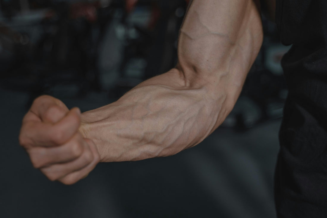 How to Train Forearms at Home (Size, Strength and Grip)